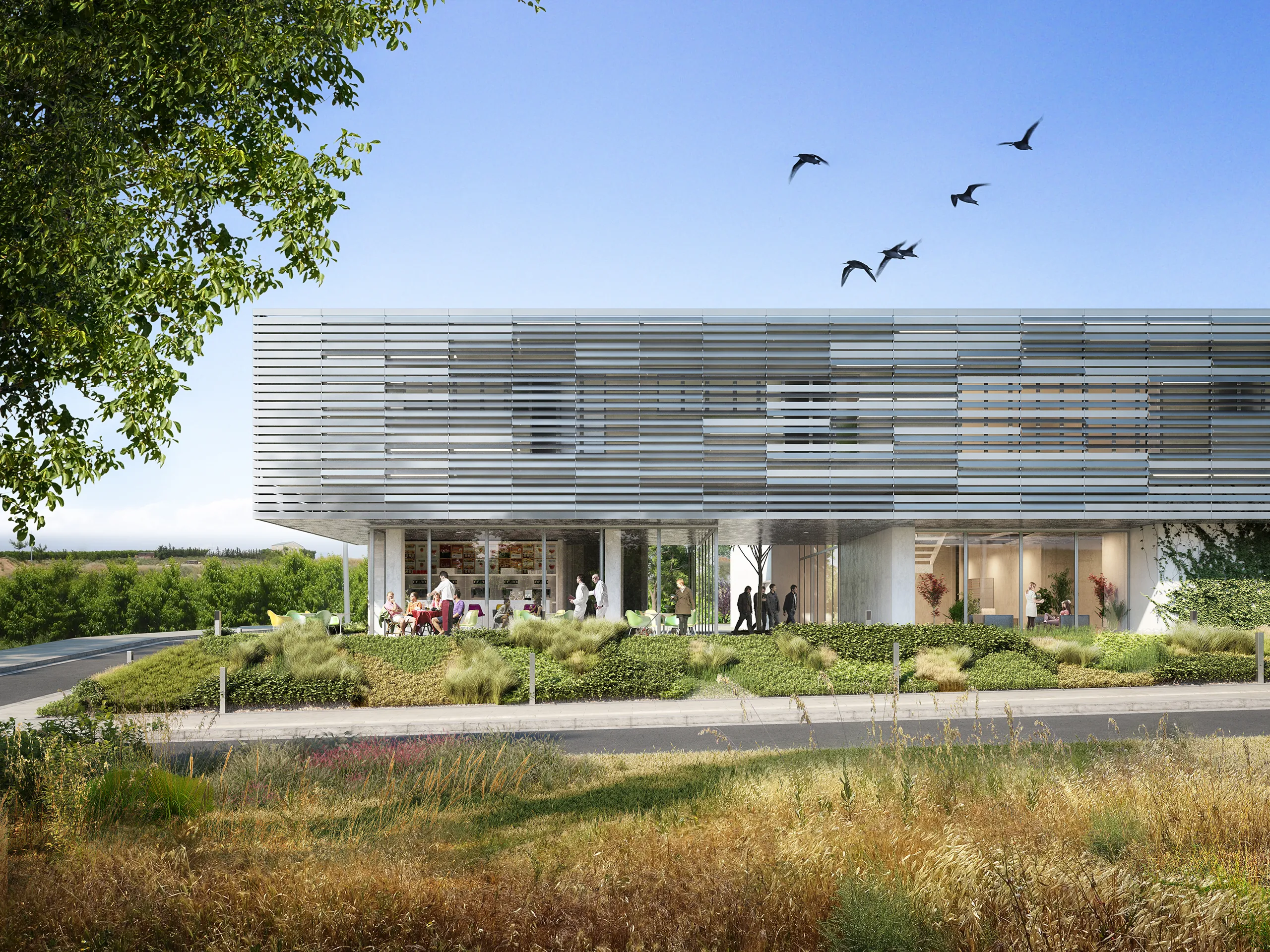 veterinary clinic Lleida Fassade eye level Photorealistic Rendering