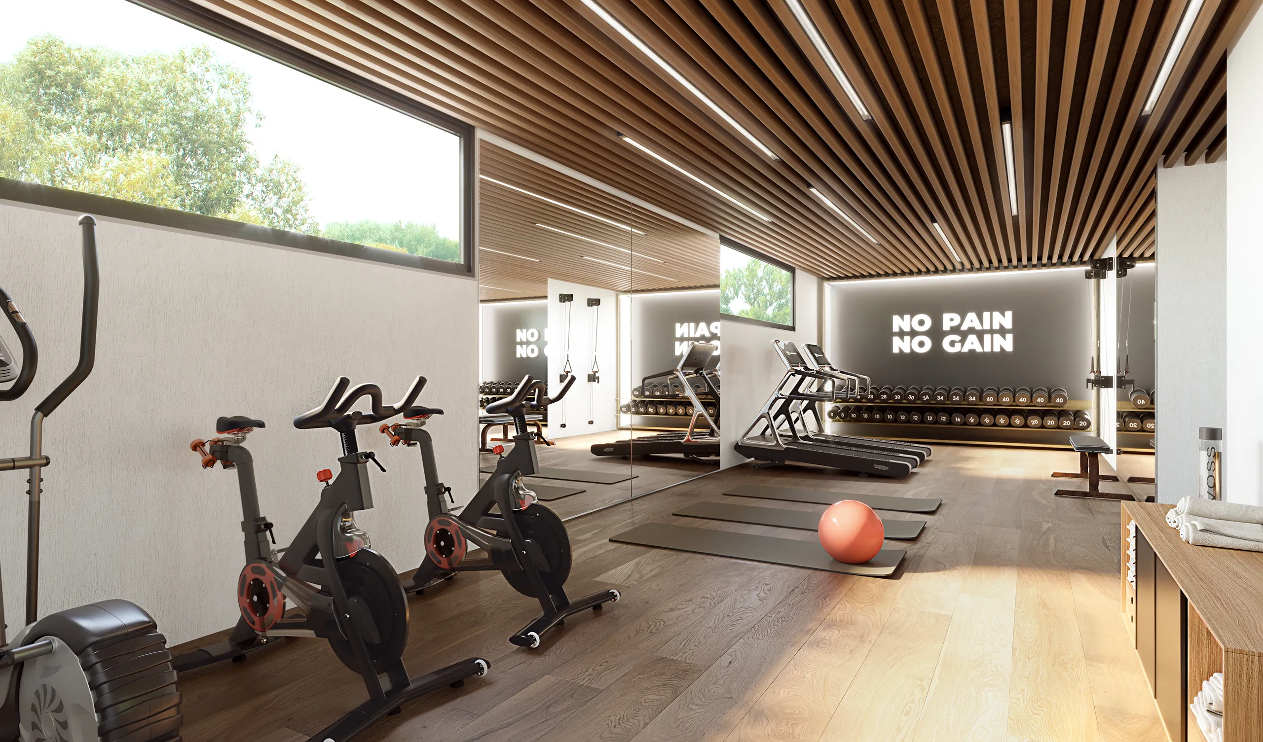 Viviendas Alzate San Sebastian Gym real estate renders