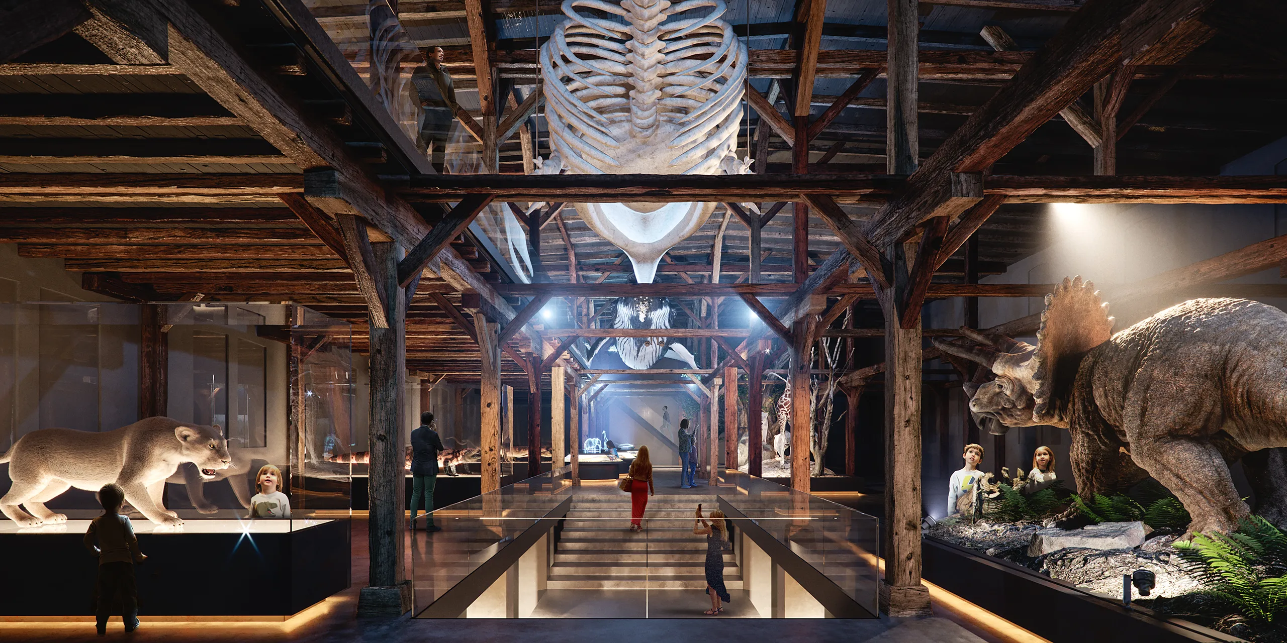 Mhnf Museum Friburgo Switzerland Common Areas Photorealistics Visualisations