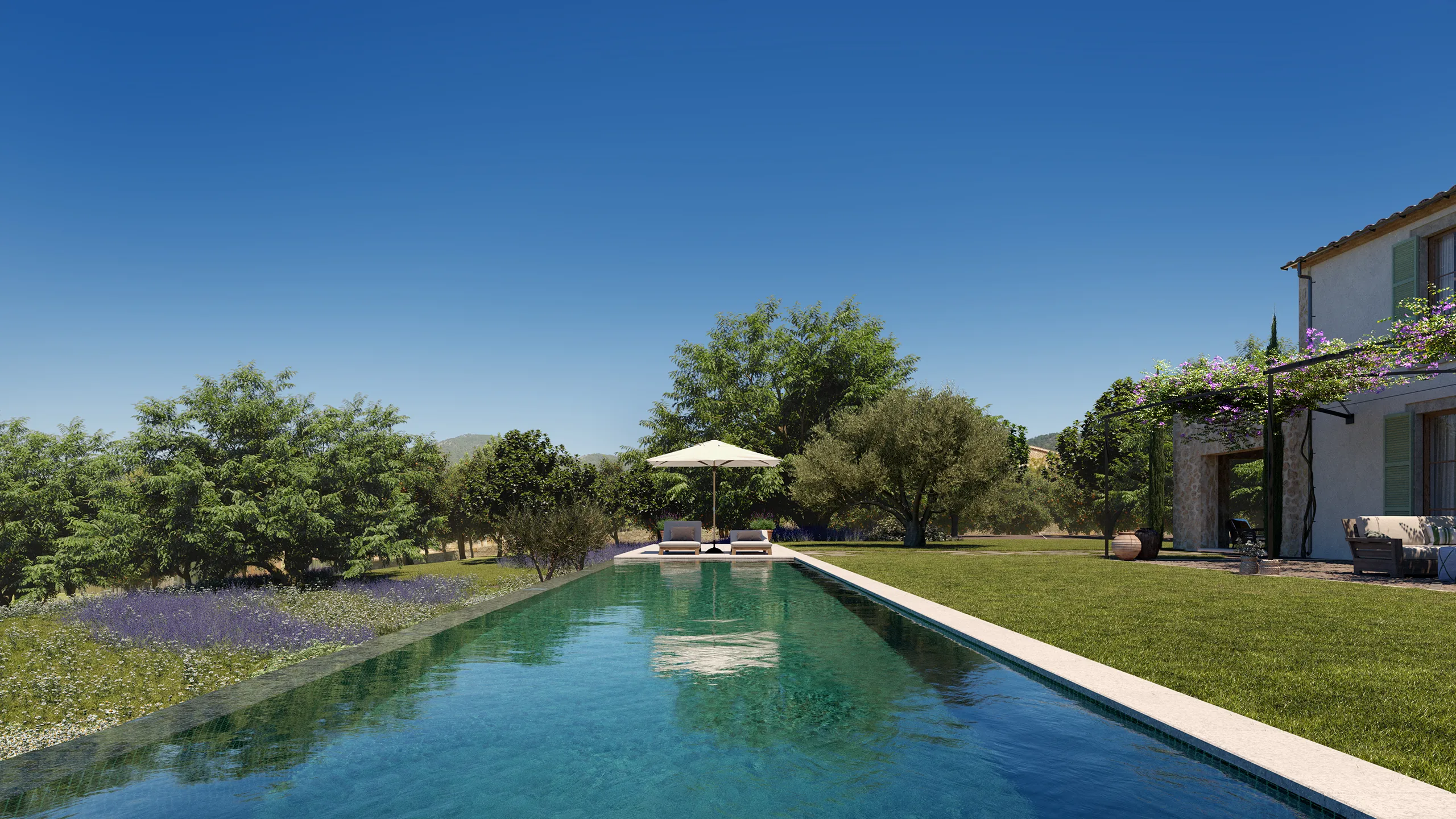 Finca Rustica Sta Maria Mallorca Pool architectural rendering