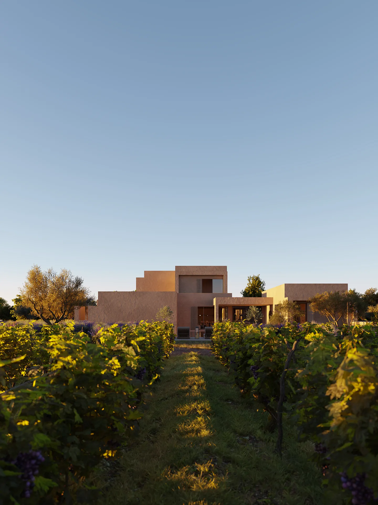 Villa Formentera Garden photorealistic visualization