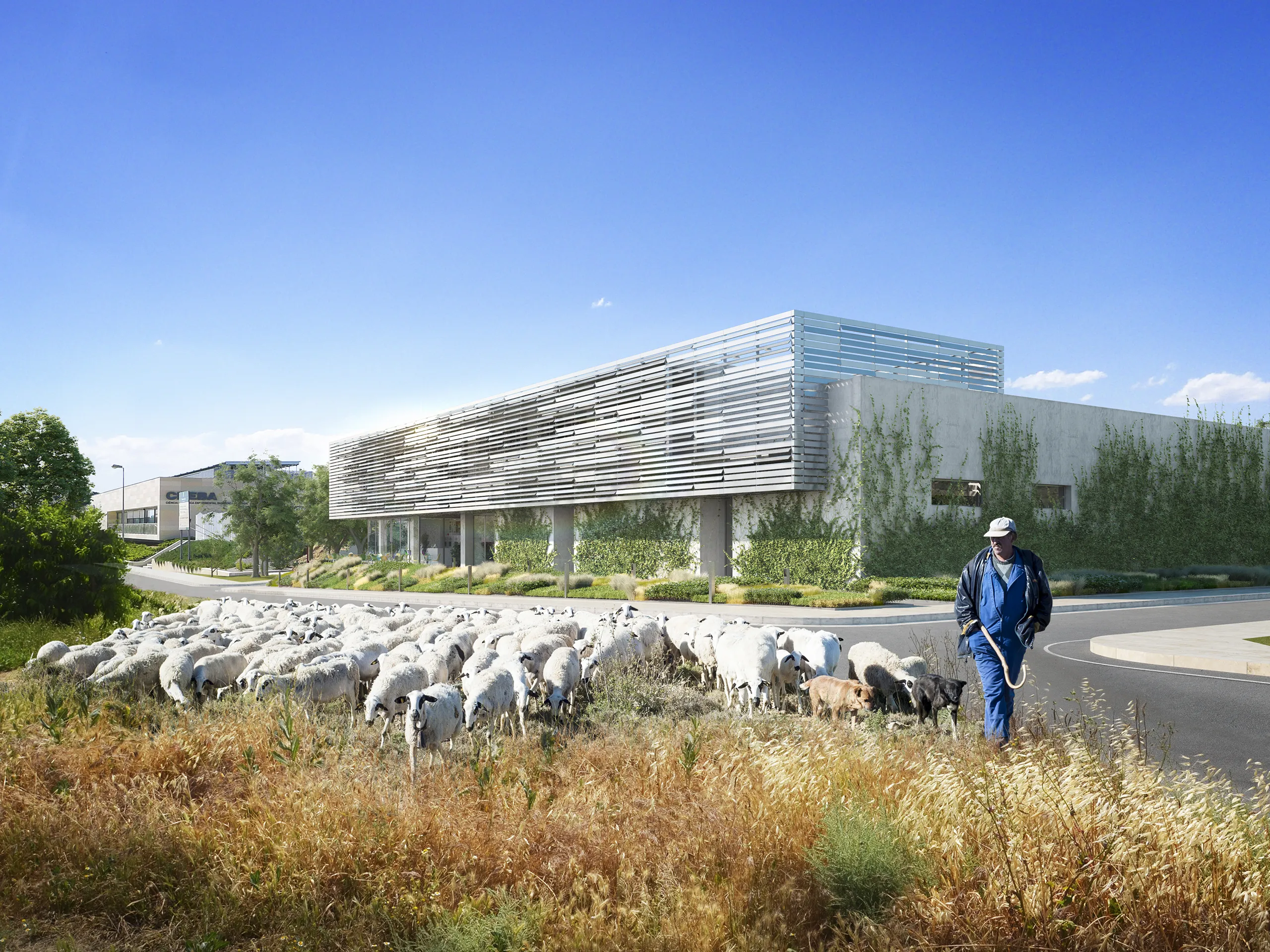 veterinary clinic Lleida Fassade eye level Photorealistic Cgi