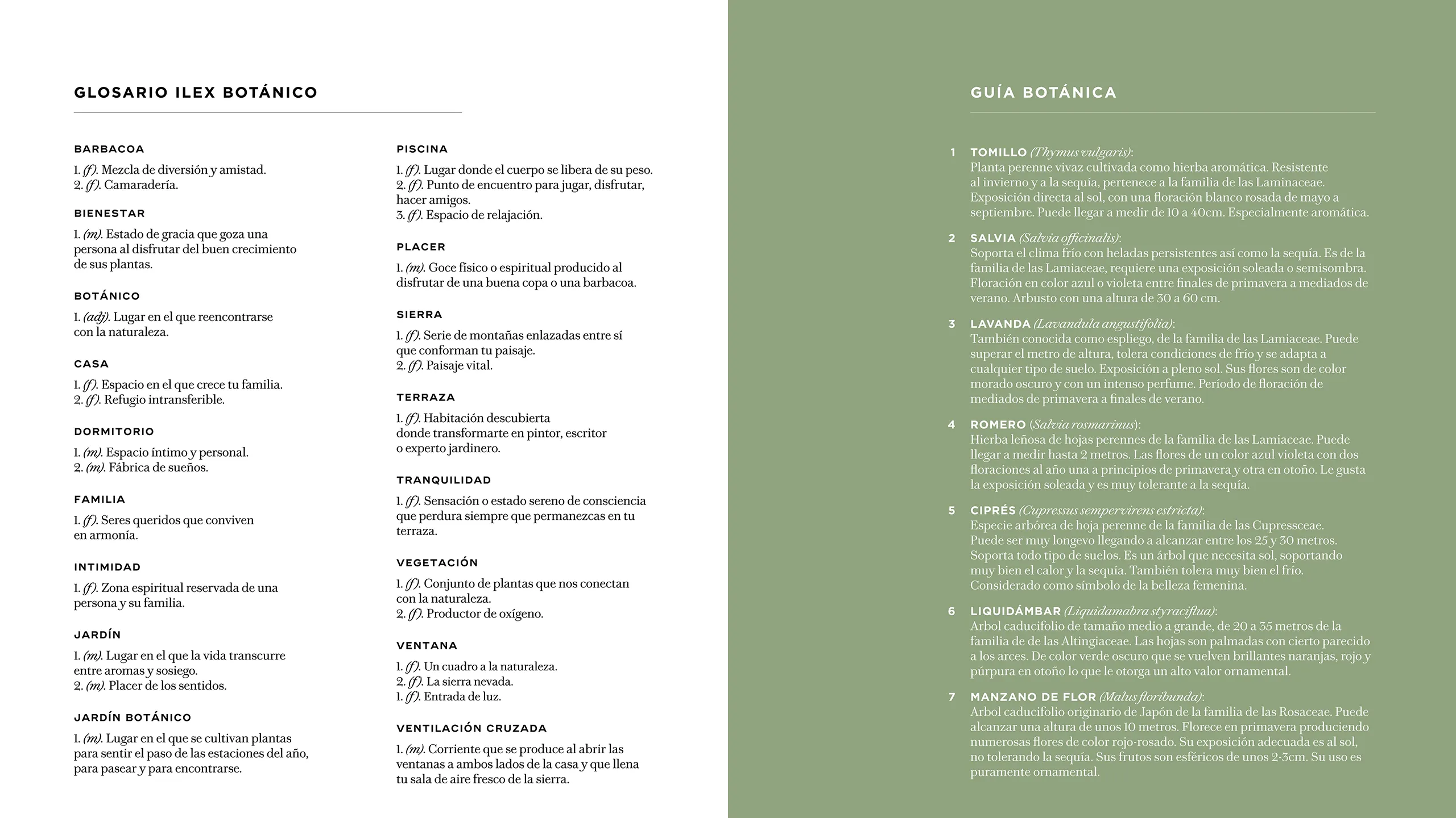 Ilex Piso Colmenar Viejo Madrid Branding Property Marketing